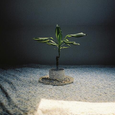 schreiben / schreien