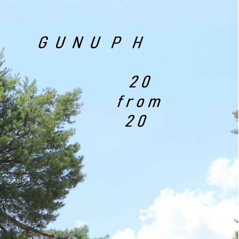 20 from 20