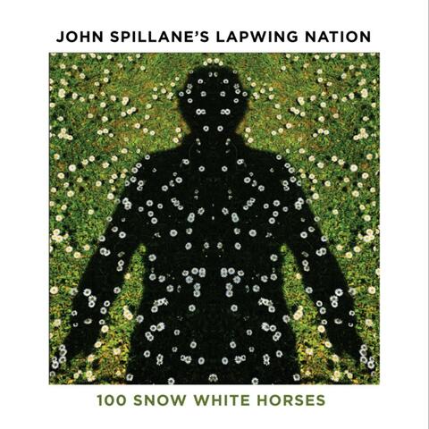 100 Snow White Horses