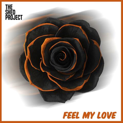 Feel My Love