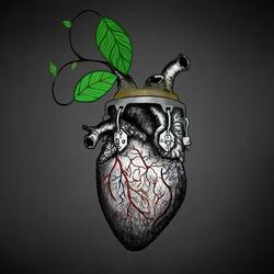 Yo vengo a ofrecer mi corazón
