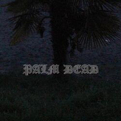 SKELETONUNDERNEATHTHEDEADPALMTREE