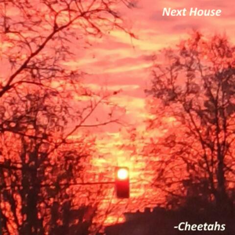 The Cheetahs