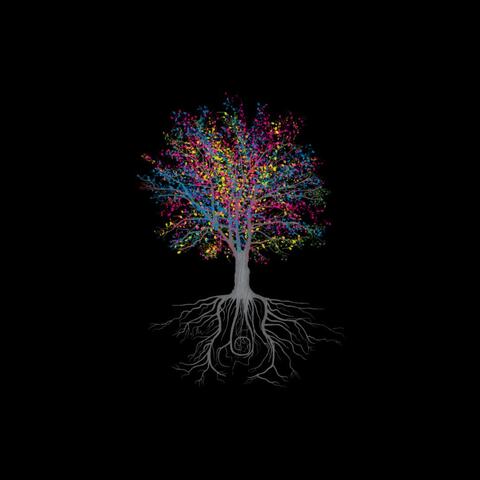 Origin