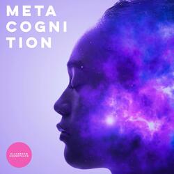Metacognition