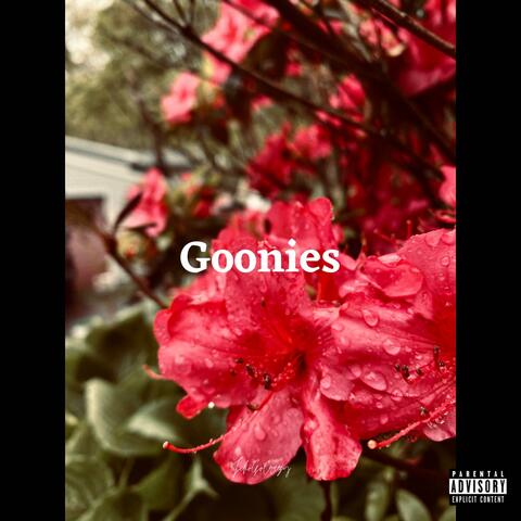 Goonies