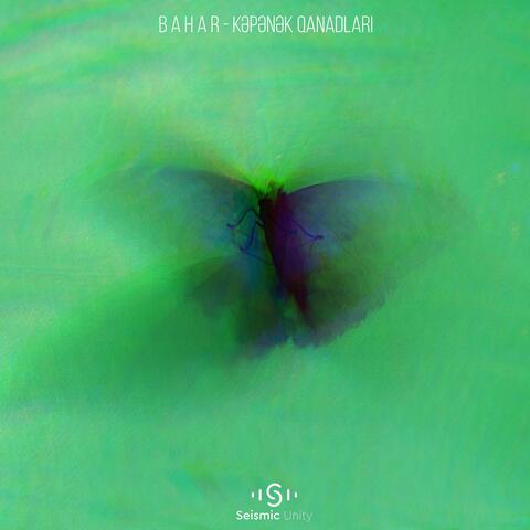 Kəpənək Qanadları