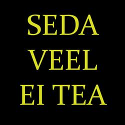 Seda veel ei tea