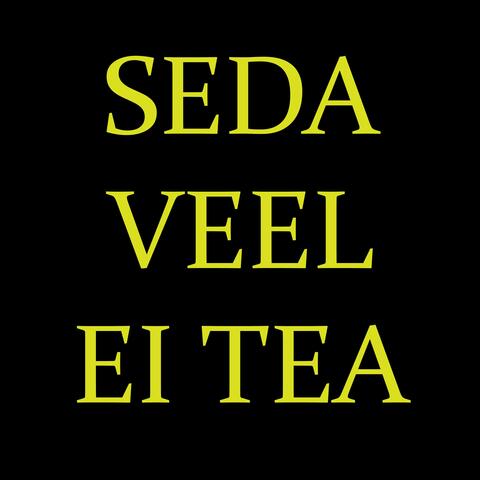 Seda veel ei tea
