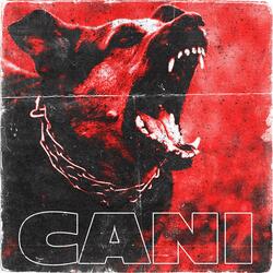 Cani