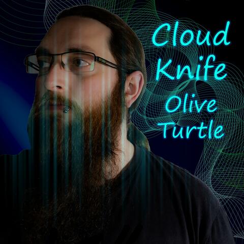 Olive Turtle