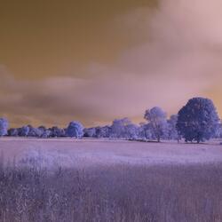 Put Me In a Container