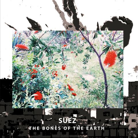 The Bones of the Earth