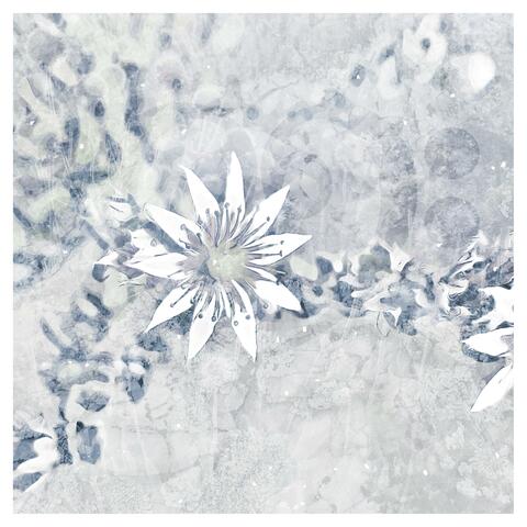 Mini Album