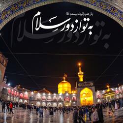 Imam Ali Ridha (as)