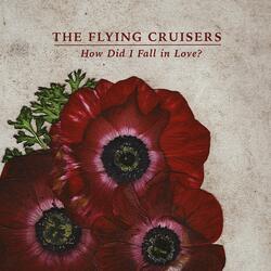 How Did I Fall in Love?