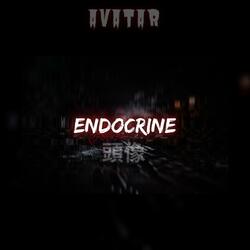 ENDOCRINE