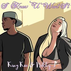 I Know U Want It (feat. Nikky T)