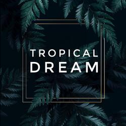 Tropical dream