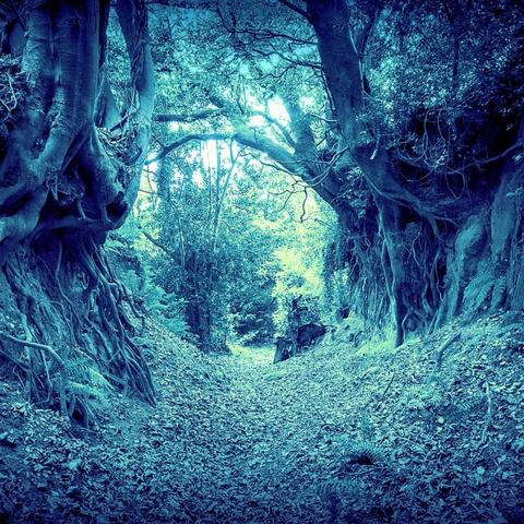 Holloway