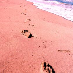 walking into the ocean