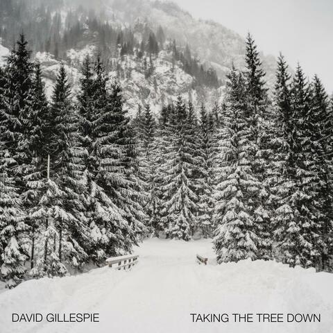 Taking The Tree Down