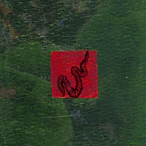WORM