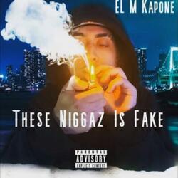These Niggaz Is Fake