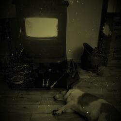 Fire On, Feet Up