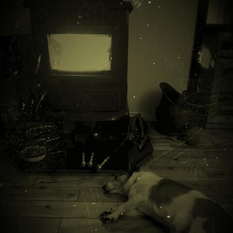 Fire On, Feet Up