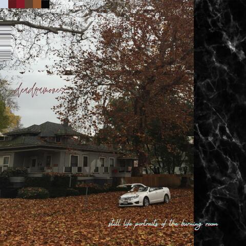 Still Life Portraits of the Burning Room