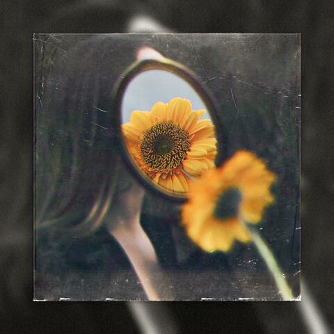 Girasoli (feat. The Wub)