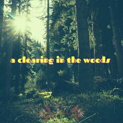A Clearing In The Woods