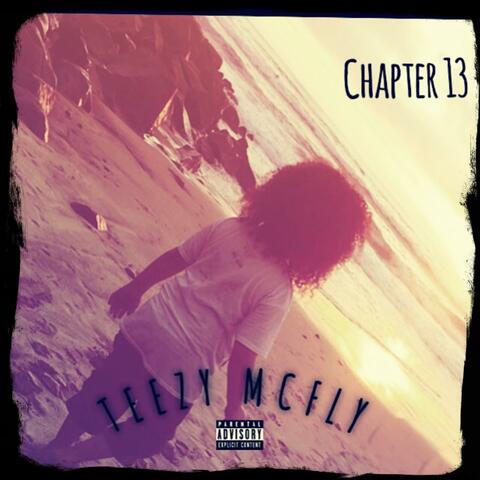 Chapter 13