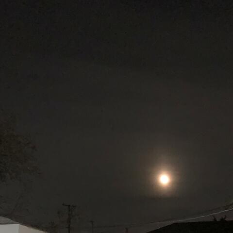 In