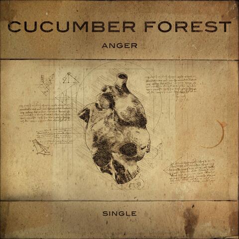 Anger (feat. Dee Wolf)