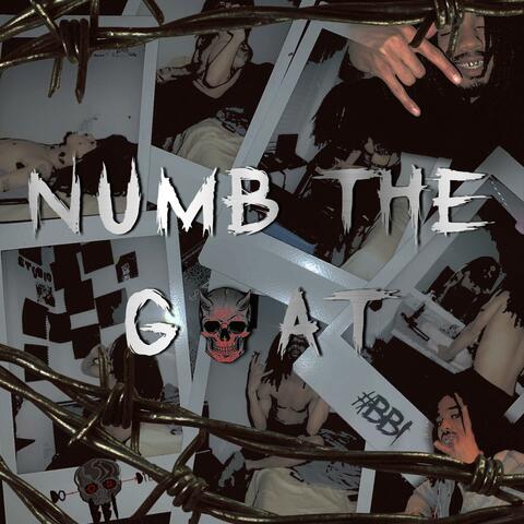 Numb The Goat