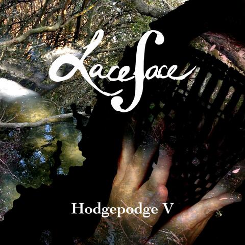 Hodgepodge V
