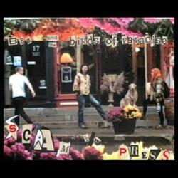 Scam (feat. Graham Brooks & Chris Weisman)