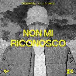 Non mi riconosco