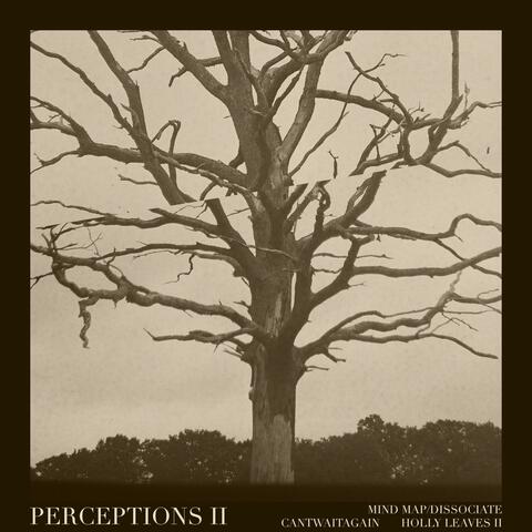 Perceptions II