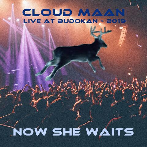 Now She Waits