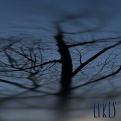 MGLK