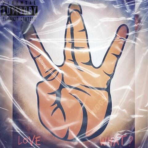 LOVE WHAT