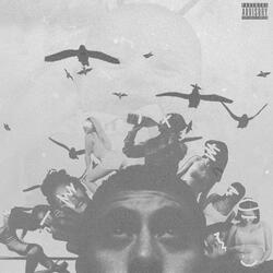 Broken Bird Syndrome