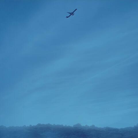 Flight
