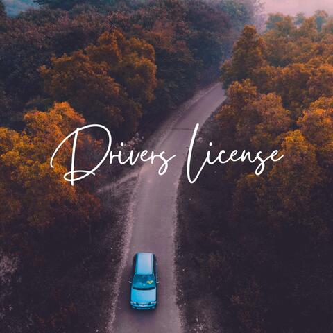 Drivers License (Stripped)