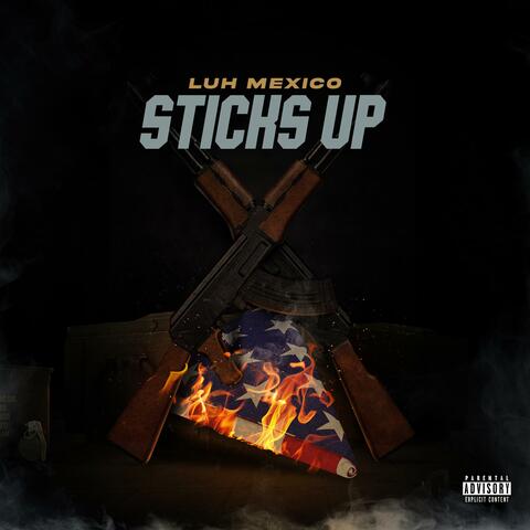 Sticks Up