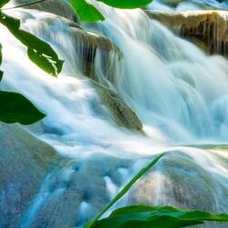 Borneo