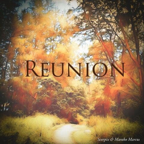 Reunion (feat. Scorpix)
